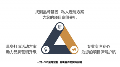 品牌企业策划营销活动商业计划书文化简介产品宣传文案制作