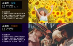 企业品牌公司起名产品品牌起名取名字商标命名店铺餐饮取名