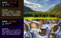 企业品牌公司起名产品品牌起名取名字商标命名店铺餐饮取名