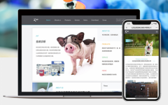 门户电商网站前后端定制开发ui设计外贸营销型商城建设制作