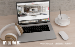 网站开发建设海外独立站企业官网**电商外贸多语中英双语