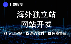 网站开发建设海外独立站企业官网**电商外贸多语中英双语