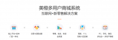 B2B/B2C多用户商城网站开发制作多站合一网页设计