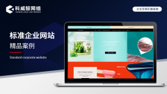 定制营销型响应式公司企业网站建设外贸商城模板软件开发