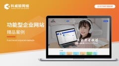 定制营销型响应式公司企业网站建设外贸商城模板软件开发